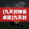 (征服手游怀旧版官网)口袋征服怀旧版双龙城，重温经典，探索双龙传奇