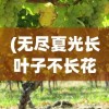 (无尽夏光长叶子不长花苞)无尽夏光照不足，探索其影响与解决方案