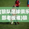 (狼队足球俱乐部老板谁)狼队足球俱乐部老板深度解析