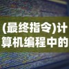 (最终指令)计算机编程中的终末指令，定义、应用与未来发展