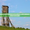 (如何正确地进行幻塔信号塔的调试与优化流程设计)如何正确地进行幻塔信号塔的调试与优化流程？