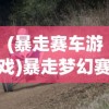(暴走赛车游戏)暴走梦幻赛车北极星通关攻略教程