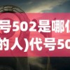 (代号502是哪位将军的人)代号502，神秘背后的真相与探索