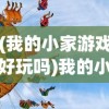 (我的小家游戏好玩吗)我的小家还能玩吗？全面解析游戏可玩性及相关问题