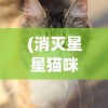 (消灭星星猫咪老版本)星猫爱消除，游戏魅力与玩家热情解析