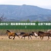 今天澳门今晚马出什么？精彩赛事预测及时更新，让您了解最新马术比赛动态！