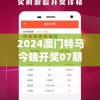 2024澳门特马今晚开奖07期管家婆,经典案例解释落实_轻盈版.9.203
