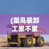 (菜鸟装卸工累不累)菜鸟装卸，操作技巧、常见问题及解决方案