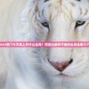 2024澳门今天晚上开什么生肖？预测出最有可能的生肖是哪几个？