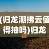 (无双西游官方版)无双西游另一个版本名称揭秘，深度探讨游戏的不同面貌