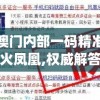 新澳门内部一码精准公开火凤凰,权威解答解释落实_跨界版.0.15