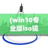 (win10专业版iso镜像下载)Win10专业版ISO镜像，深度解析与常见问题解答