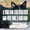 (猫咪田园图鉴在哪)猫咪田园图鉴，探索猫咪的世界与奥秘