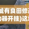 (这城有良田修改器辅助器开挂)这城有良田修改器，游戏辅助工具的多维解析