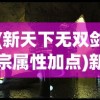 (新天下无双剑宗属性加点)新天下无双剑宗加点攻略及深度解析