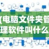 (电脑文件夹管理软件叫什么)电脑文件夹管理软件，高效组织你的数字世界