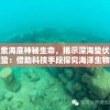 (城主天下武将强度排行榜)城主天下武将，策略游戏中的英雄与领袖