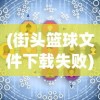 (街头篮球文件下载失败)街头篮球文件失败，原因解析与解决方案