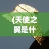 (天使之翼是什么)天使之翼，神秘翅膀背后的故事与寓意