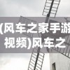 (风车之家手游视频)风车之家手游，探索与体验的独特魅力