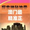 澳门最精准正最精准龙门,探索城市新风尚与秘密角落_完整版.8.743