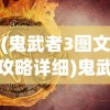 (鬼武者3图文攻略详细)鬼武者3图文攻略大全——深入解析与常见问题解答