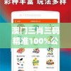 澳门三肖三码精准100%公司认证管家婆,全面数据解释落实_优惠版.8.613