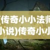 (传奇小小法师小说)传奇小小法师，神秘世界的勇者之路