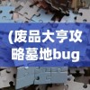 (废品大亨攻略墓地bug)废品大亨攻略大全及常见问题解答