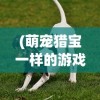 (萌宠猎宝一样的游戏叫什么)萌宠猎宝，一场别开生面的游戏冒险之旅