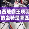 (皇城战激活码2024最新)皇城战激活码，获取、使用及常见问题解答