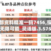 新澳内部资料精准一码7456,探索未来无限可能_灵活版.3.575