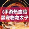 (手游热血暗黑宠物龙太子攻略)手游热血暗黑全面解析与常见问题解答