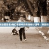 (律动轨迹什么时候上线)律动轨迹更新指南，如何实时更新你的律动数据