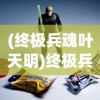 (终极兵魂叶天明)终极兵魂，深度解析与常见问题解答