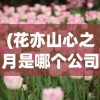 (花亦山心之月是哪个公司的游戏)花亦山心之月，背后的公司揭秘
