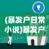 (暴发户日常小说)暴发户日常，揭示新贵生活的多元视角