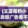 (王蓝莓的小卖部广告看不了什么原因)王蓝莓的小卖部，乡村的微型商业与社区活力之源