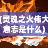 (灵魂之火伟大意志是什么)灵魂之火与伟大意志，探寻内在的力量之源