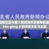 讨论抗击新冠疫情阶段中国人民同舟共济精神的展现：以'tóng zhōu gòng jì'的拼音文化为主题