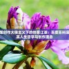 (召唤师纷争攻略视频)召唤师纷争攻略大全，从入门到精通的全方位指南