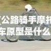 (公路骑手摩托车原型是什么)公路骑手摩托车原型，探索、激情与技术的融合