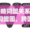 (战略同盟关系)战略同盟国，跨国合作的深度解析