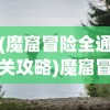 (游戏永恒之刃)永恒之刃大帅，传奇英雄的探索与解析