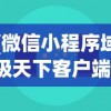 (微信小程序域极天下客户端)微信小程序域极天下，探索其功能与前景