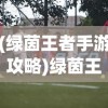 (绿茵王者手游攻略)绿茵王者游戏，探索足球竞技的全新魅力