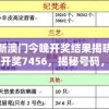 新澳门今晚开奖结果揭晓！开奖7456，揭秘号码，精彩刺激不容错过！