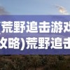 (荒野追击游戏攻略)荒野追击游戏，探索与策略的挑战