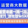 2024精准管家婆一肖一马,探索生活中的小技巧_游戏版WSAP.8.966