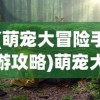 (雷电觉醒ssr推荐哪个角色)雷电觉醒SSR推荐指南，哪个更适合你？